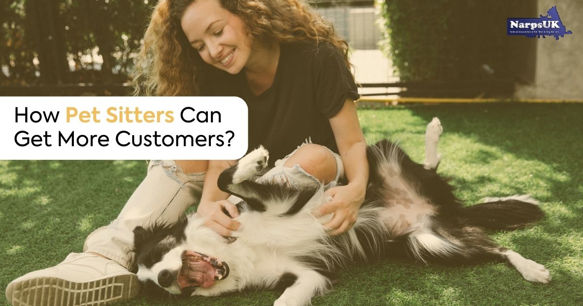 How Pet Sitters Can Get More Customers
